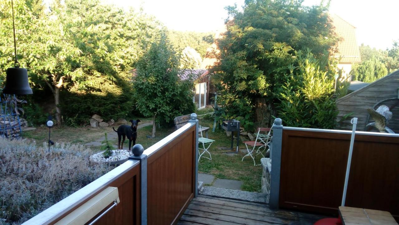 Ferienhaus Schulenberg Villa Friedrichsbrunn Bagian luar foto