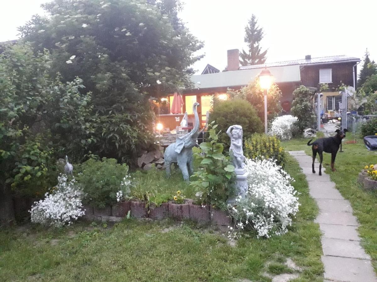 Ferienhaus Schulenberg Villa Friedrichsbrunn Bagian luar foto